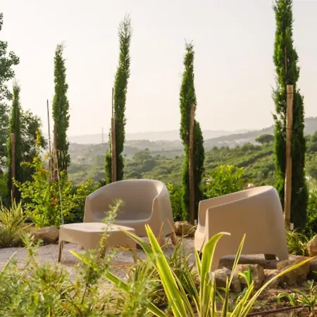 Acacias - Boutique In Wine Country Villa Alenquer