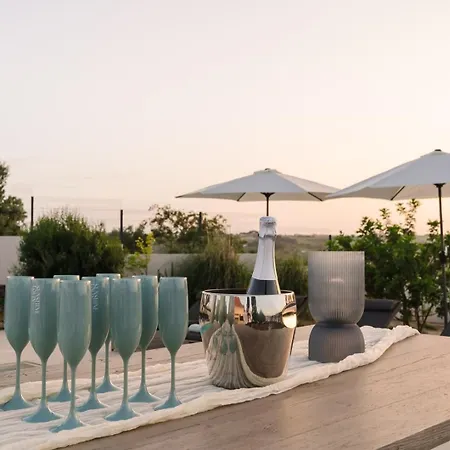 Acacias - Boutique In Wine Country Villa Alenquer