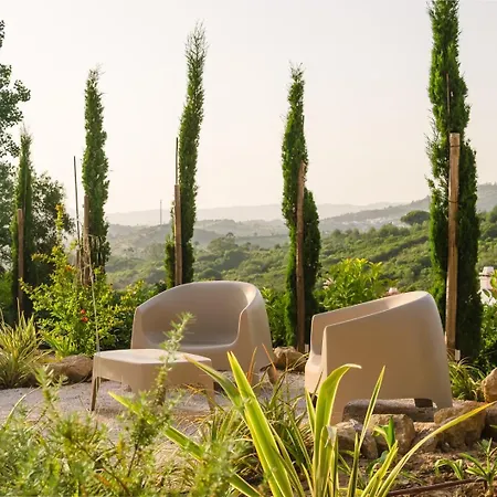 Acacias - Boutique In Wine Country Villa Alenquer
